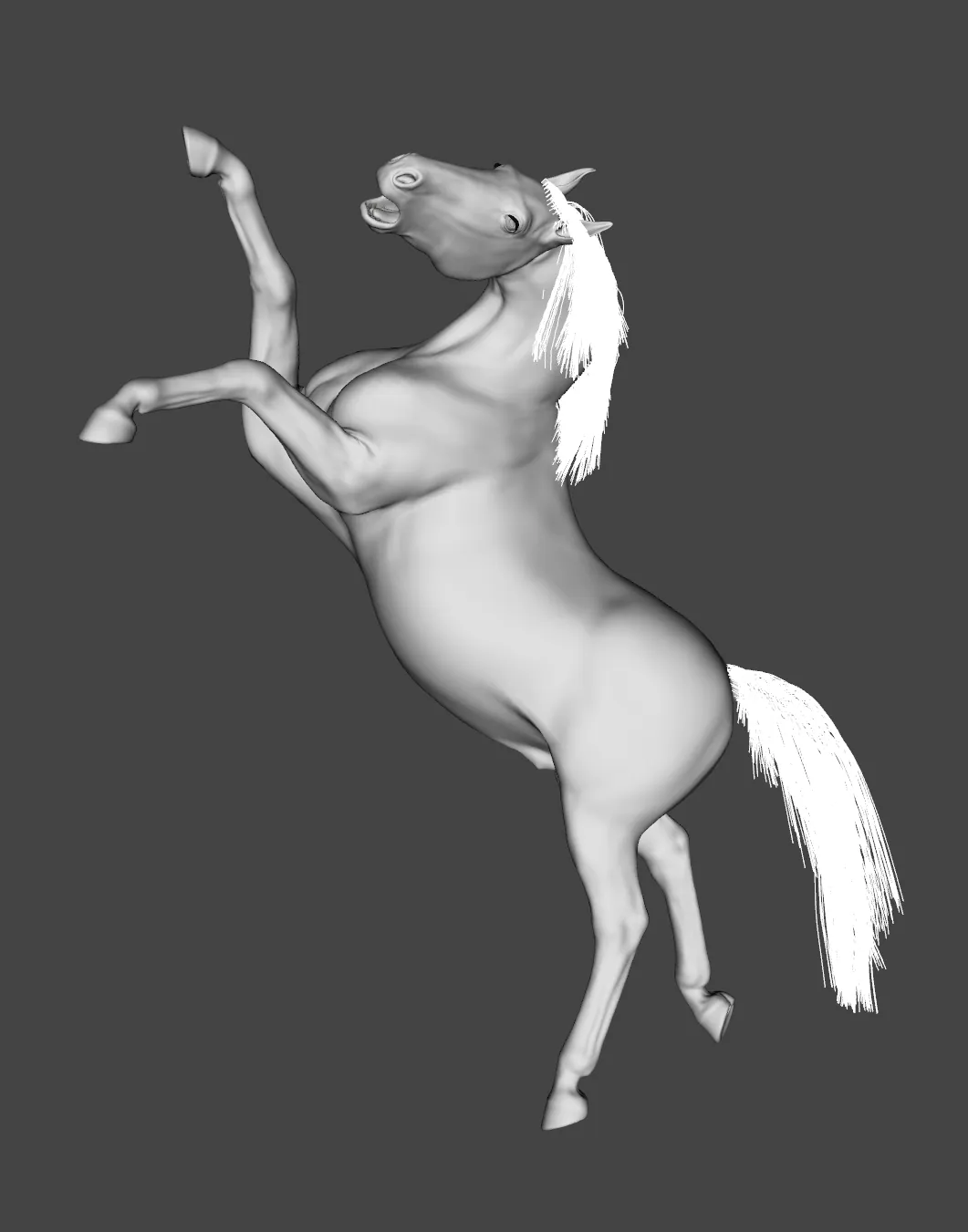 The grey horse posed rearing, forelegs raised