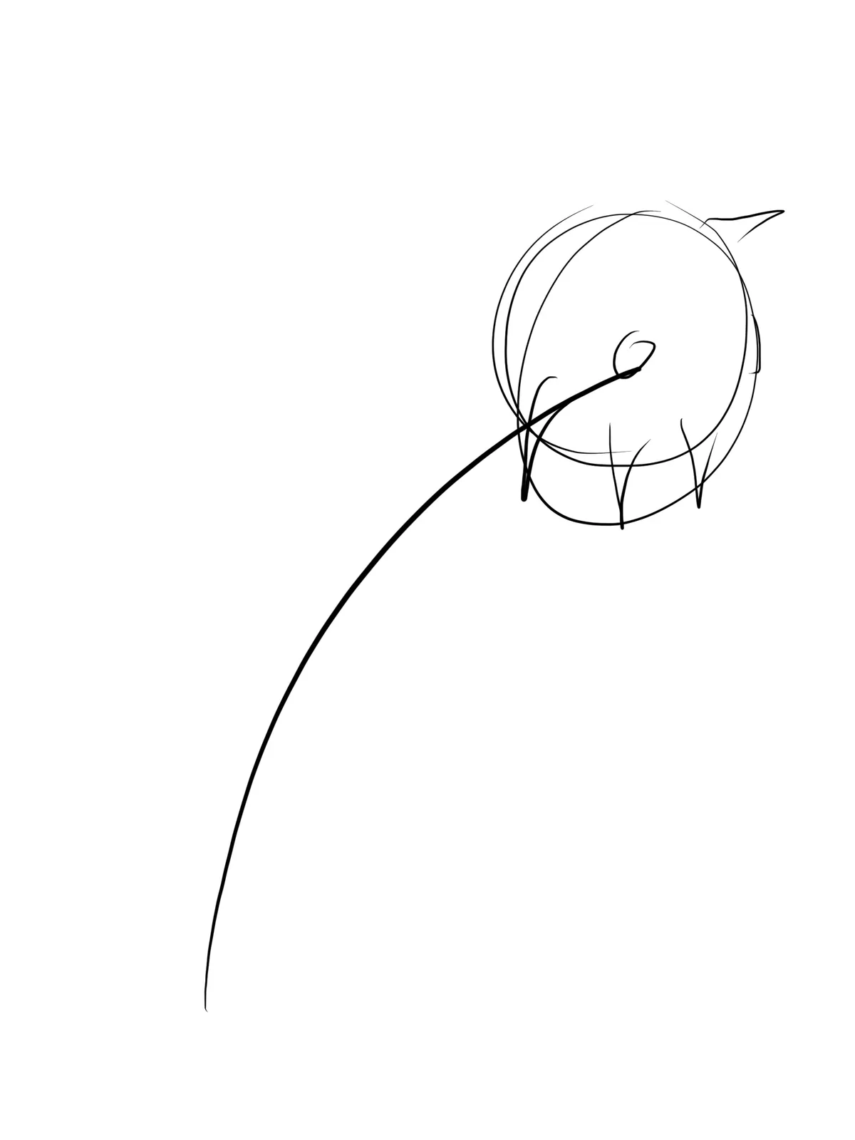 A line sketch on white of a long curved stem rising to a round flower head with hanging lines